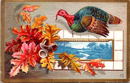 Thanksgiving Greetings With Turkey 1910 - Thanksgiving