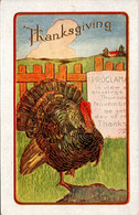 Thanksgiving Greetings With Turkeys 1909 - Thanksgiving