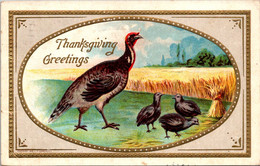 Thanksgiving Greetings With Turkey Family 1909 - Thanksgiving