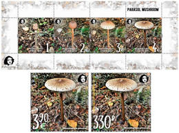 Russia And Finland 2021 Parasol Mushroom A Delicacy Of Gastronomy Peterspost Joint Issue Set Of 2 Stamps And Block Mint - Nuevos