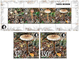 Russia And Finland 2021 Parasol Mushroom A Delicacy Of Gastronomy Peterspost Joint Issue Set Of 2 Stamps And Block Mint - Unused Stamps