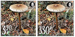 Russia And Finland 2021 Parasol Mushroom A Delicacy Of Gastronomy Peterspost Joint Issue Set Of 2 Single Stamps Mint - Nuevos