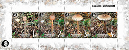 Finland 2021 Parasol Mushroom A Delicacy Of Gastronomy Peterspost Set Of 4 Stamps In Block Mint - Ongebruikt