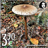 Finland 2021 Parasol Mushroom A Delicacy Of Gastronomy Peterspost Single Stamp From Sheetlet Mint - Nuevos