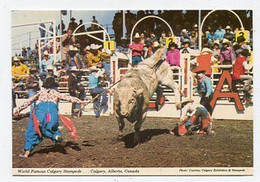 AK 09946 CANADA - Alberta - Calgary - Calgary Stampede - Calgary