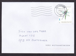 Netherlands: Cover, 2021, 1 Stamp, Darning Needle Insect, Dragonfly, Animal (traces Of Use) - Briefe U. Dokumente