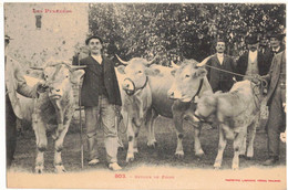 MIDI PYRENEES FOIRES MARCHES AUX BESTIAUX LUCHON RETOUR DE FOIRE AVEC BOEUFS & VEAUX MARCHAND DE BETAIL - FERMIERS FERME - Kermissen