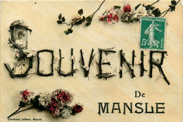 Mansle * Carte Photo * Souvenir De La Commune - Mansle