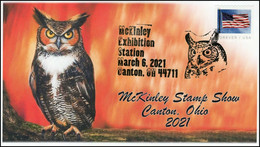 2021 NEW *** USA United States Cover McKinley Stamp Show, Birds  Event Cover, Pictorial Postmark, Bird Great Horned (**) - Brieven En Documenten