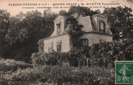 94 / LE PLESSIS TREVISE ROSIER GEANT M.NIVETTE PROPRIETAIRE - Le Plessis Trevise