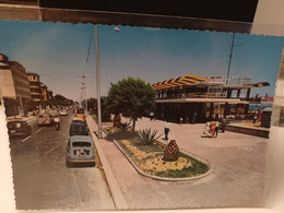 Cartolina Pescara Viale Riviera E Gabbiano Auto Fiat 600 1958 - Pescara