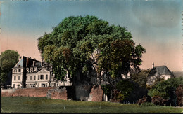 N°19177 Z -cpsm Château De Divonne Les Bains - Châteaux