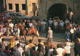 84,VAUCLUSE,MONTEUX - Monteux