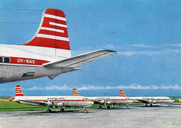 STERLING Airways:  Douglas DC-6B - 1946-....: Era Moderna