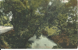 ON THE ALLANDER MILNGAVIE - WITH GOOD MILNGAVIE POSTMARK - 1905 - Dunbartonshire