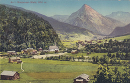 A2063) AU Im BREGENZERWALD - Kirche Häuser Straße U. Felder ALT ! - Bregenzerwaldorte