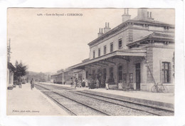 CPA :  14 X 9  -  Gare  De  Seyssel  -  CORBONOD - Seyssel