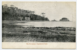 TASMANIA : EAGLEHAWK NECK - THE PAVEMENT - Autres & Non Classés