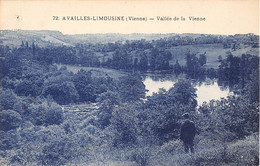 VIENNE  86  AVAILLES-LIMOUSINE - VALLEE DE LA VIENNE - Availles Limouzine