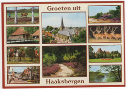 Groeten Uit Haaksbergen - (Ov.,Nederland / Holland) - Nr. HAA 5 - Haaksbergen