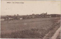 Neuilly-Vue Du Chemin De Joigny - ( E.8337) - Neuvy Sautour