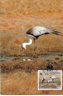 Malawi - Maximum Card 1987 : Wattled Crane   -    Grus Carunculata - Kranichvögel