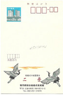 Japan - Postal Staionery Mint  : Red-crowned Crane - Grus Japonensis - Gru & Uccelli Trampolieri