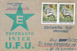 Hongarije Esperanto Brief Uit 1998 Met 1 Zegel (3650) - Storia Postale