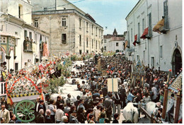 LARINO (CAMPOBASSO) - Festa Di S. Pardo 25-27 Maggo - Campobasso