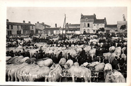 Aizenay ; Champ De Foire (cpsm) - Aizenay