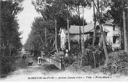 SAINT BREVIN LES PINS - Avenue Jeanne D'Arc - Villa " Frédo Maria " - Très Bon état - Saint-Brevin-les-Pins