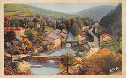 TARN  81  VABRE  LE PONT VIEUX ET ROUTE DU VIEUX MOULIN - Vabre