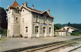 Brouvelieures Gare  Photo 9 X 13 - Trenes