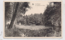 B 6870 SAINT-HUBERT, La Fontaine Et Le Parc, 1951 - Saint-Hubert