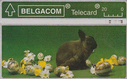 Belgique Télécarte Belgacom Telecard Pâques 1993 Lapin Œufs De Pâques Fleurs 20 Unités N° 303M16522 E. Reniers S-61 314e - Lapins