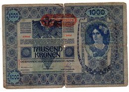 Billet Autrichien Usagé De 1000  Kronen   1902 (M2858) - Autriche