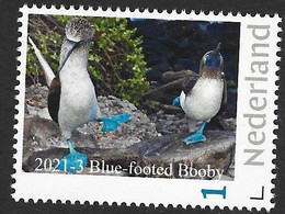 Nederland  2021-3   Vogels Birds  Blue Footed Booby  Blauwvoetgent  Postfris/neuf/mnh - Neufs