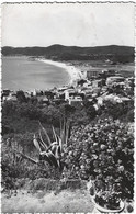 83    Le Lavandou  -  Corniche Des Maures - Vue - Le Lavandou