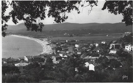 83    Le Lavandou  -   Vue  Generale Sur La Plage - Le Lavandou