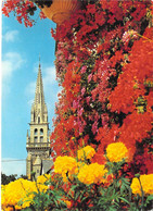 22 - Saint Gilles Vieux Marché - L'Eglise - Saint-Gilles-Vieux-Marché