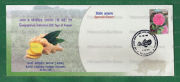 INDIA 2021 Inde Indien - KARBI ANGLONG GINGER - Special Postmark Cover - Diphu 31.08.2021 - Vegetables, GI Tag - Légumes