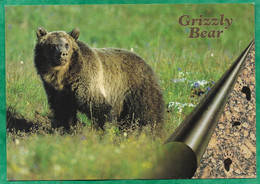 Yellowstone National Park (Wyoming Idaho Montana) Grizzly Bear 2scans 18-08-1999 (cachet Vancouver) - Yellowstone