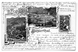 Gruss Aus  Bühlerthal En 1900 - Bühlertal