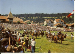 CP De Saignelégier " Marché-concours National De Chevaux " - Saignelégier