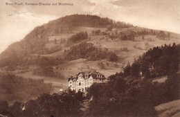 CPA HELVETIA SUISSE Mont Riant Cornaux Chamby Sur Montreux Alpes - Cornaux