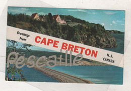 CANADA NEW SCOTLAND - CP GREETINGS FROM CAPE BRETON - C. & G. MACLEOD LTD SYDNEY N.S. CANADA - Cape Breton