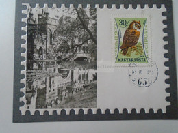 D185846     Hungary  Vajdahunyadi Vár - Stamp Owl  Hibou 1963 - Lettres & Documents