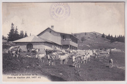 Chalet Et Sommet De La Dent De Vaulion - Vaulion