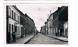 Hamme Statiestraat Cafe Roxy Fotokaart Zeldzaam - Hamme