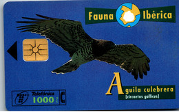 Delcampe - 19634 - Spanien - Fauna Iberica , Aguila Culebrera , Tiere - Basic Issues